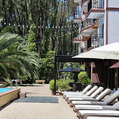 Iveria Elli Hotel شيخفيتيلي المظهر الخارجي الصورة
