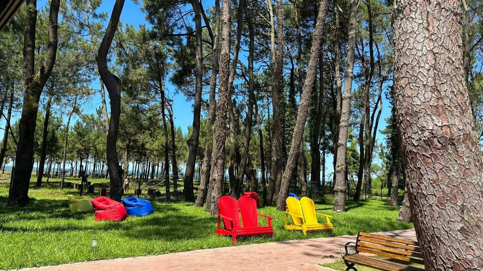 Iveria Elli Hotel شيخفيتيلي المظهر الخارجي الصورة